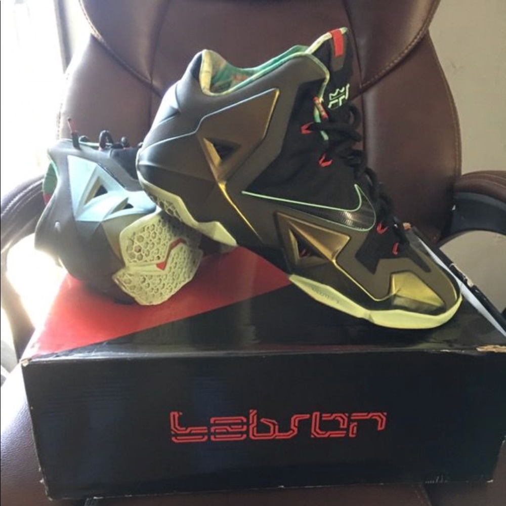 Nike LeBron 11 Kings Pride